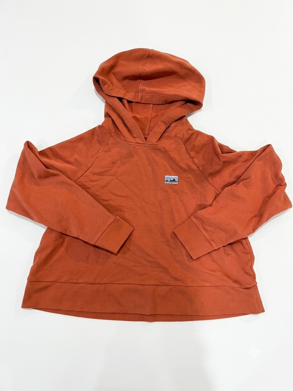 Patagonia Regenerative Organic Cotton Cropped Pullover Hoodie Rust Clay Large